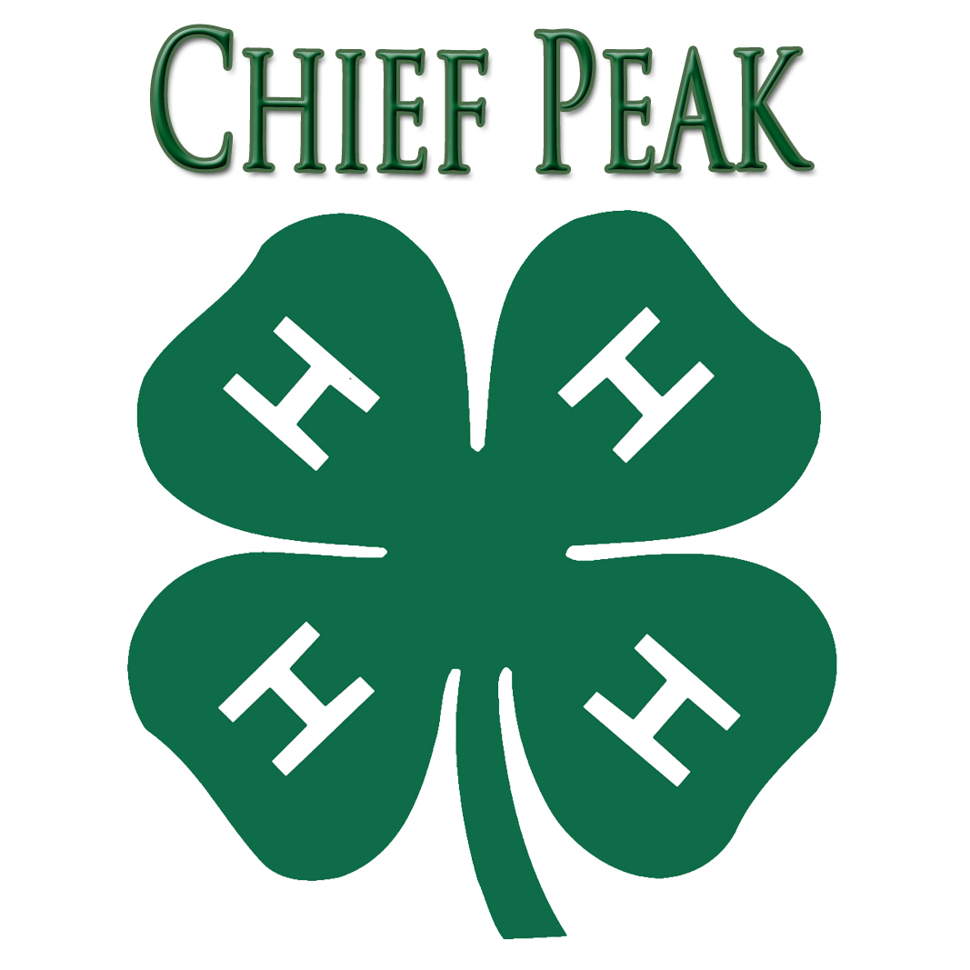4-H